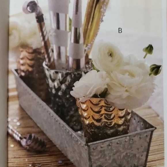 NIB SLAH/Willow House Piedmont 2-in-1 Votive Caddy - Picture 3 of 5